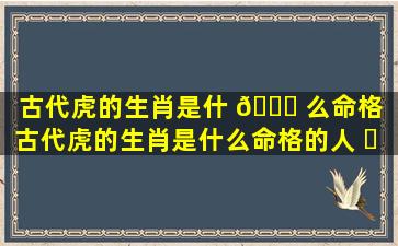 古代虎的生肖是什 🐘 么命格（古代虎的生肖是什么命格的人 ☘ ）